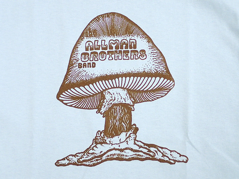 THE ALLMAN BROTHERS BAND TEE | ロケットフィッシュ、ボンザー ...